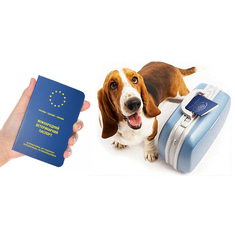 необхідні документи для вивезення собак за кордон