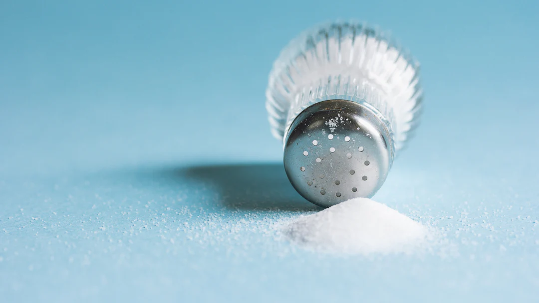 солят ли собакам еду