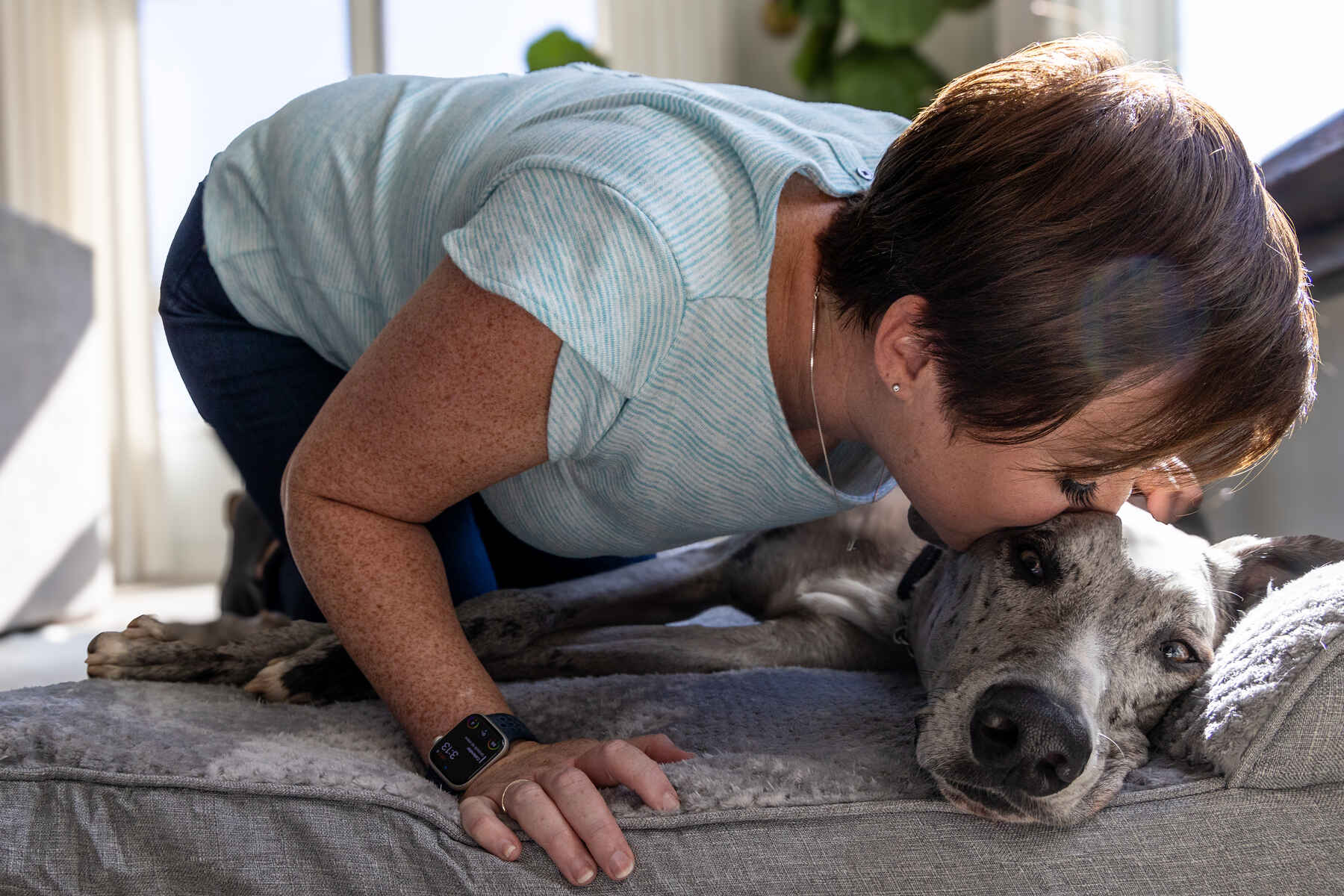 как происходит усыпление собак