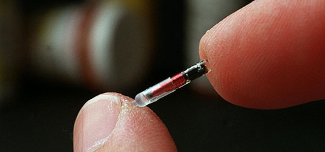 Все про чіпування тварин