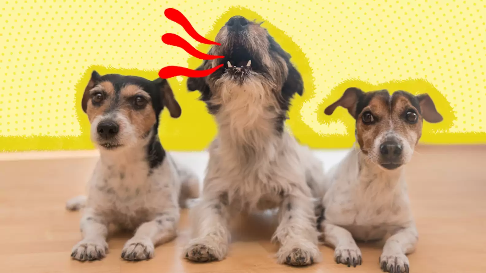 собака воет причины