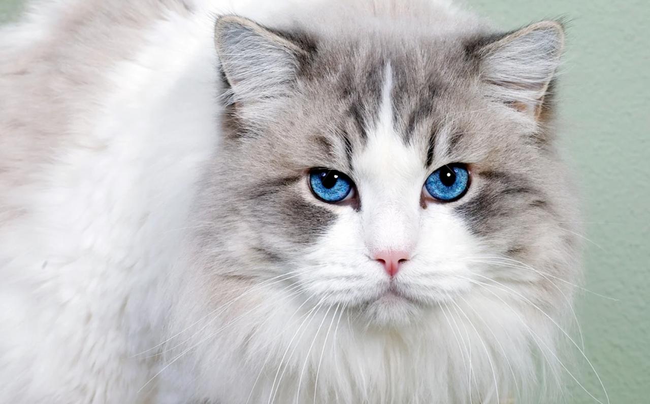 Заболевания печени